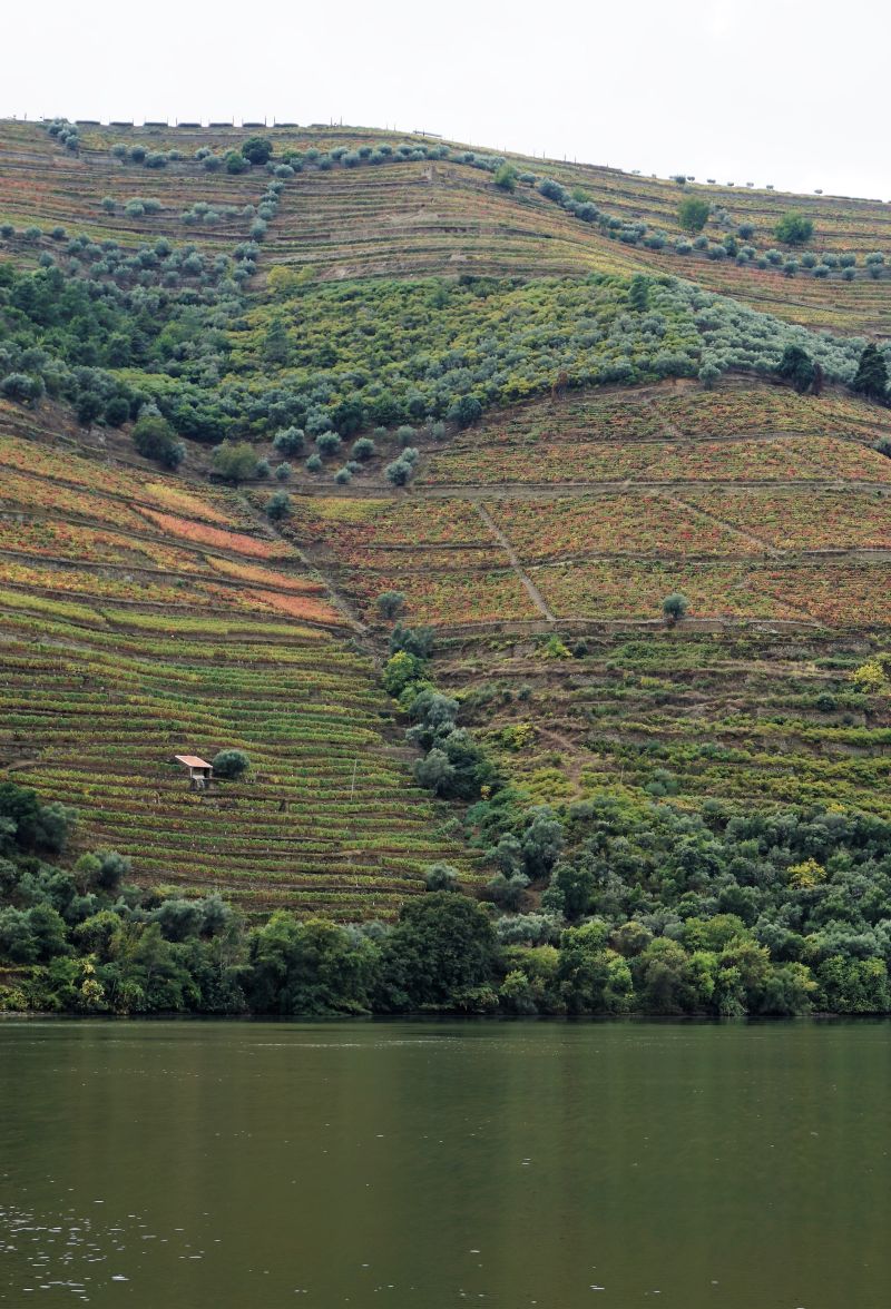 Scenic views through the Douro valley.